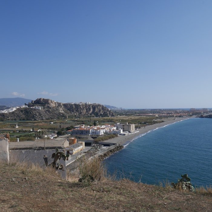 Meia Lua Marmita Parmegiana
